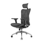 SIHOO Ergonomic Office Chair - Black