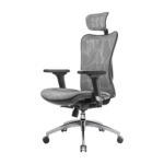 SIHOO Ergonomic Office Chair - Grey